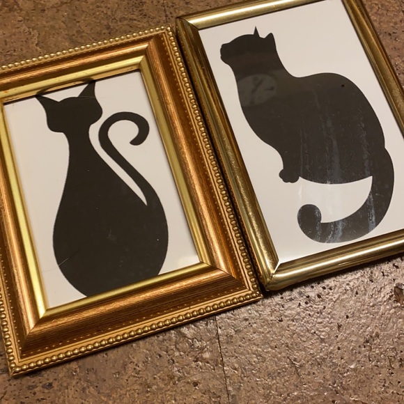 Cat Pictures - Picture 2 of 7